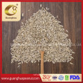 Sunflower Seeds Kernels Confectionery Grade